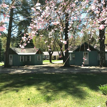 Pine Valley Cabins 손튼 외부 사진