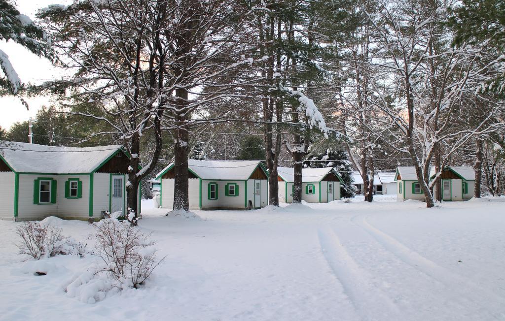 Pine Valley Cabins 손튼 객실 사진
