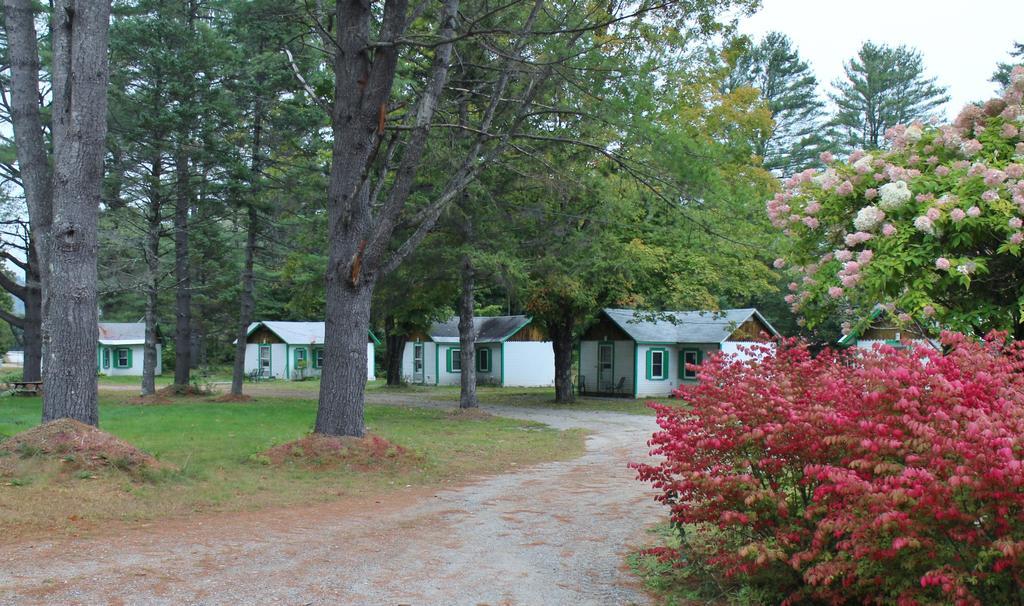 Pine Valley Cabins 손튼 외부 사진