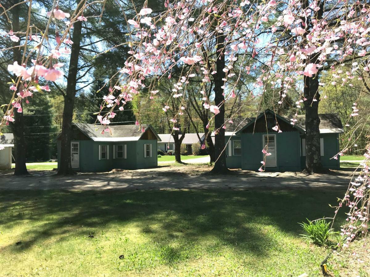 Pine Valley Cabins 손튼 외부 사진
